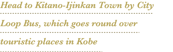 Head to Kitano-Ijinkan Town by City Loop Bus which goes round over touristic places in Kobe