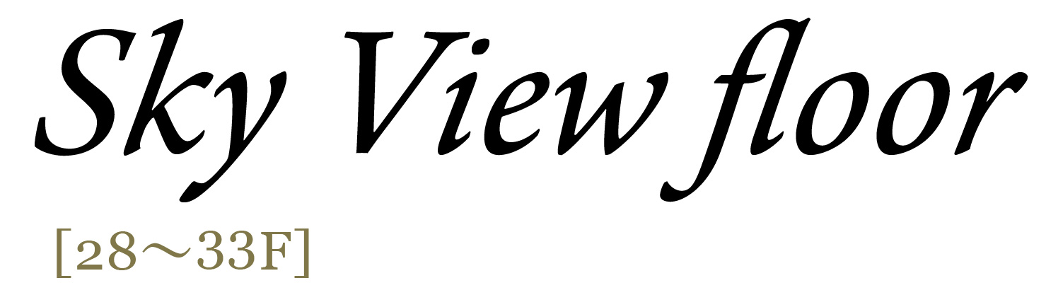 Sky View floor