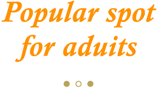 Popular spot for adult