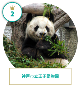 神戸市立王子動物園