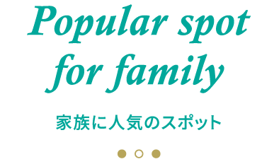 Popular spot for family 家族に人気のスポット