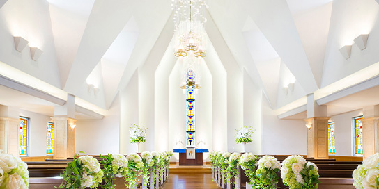 ご好評につき完売いたしました】ファミリア コラボレーション企画 第