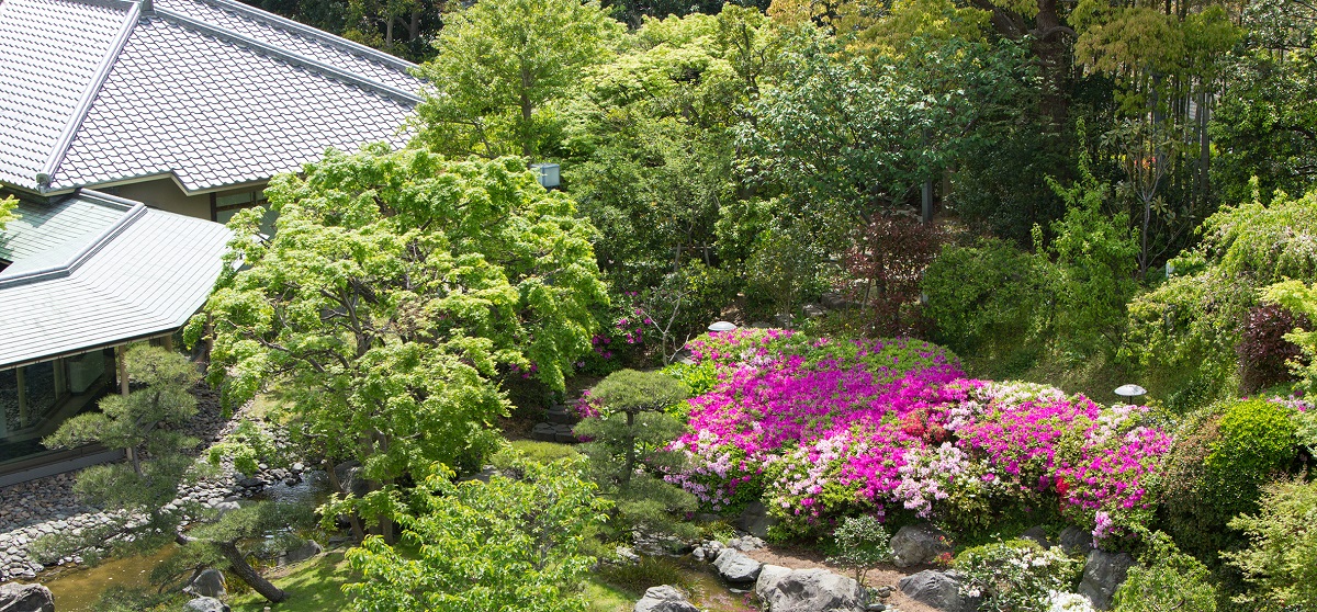 日本庭園・初夏