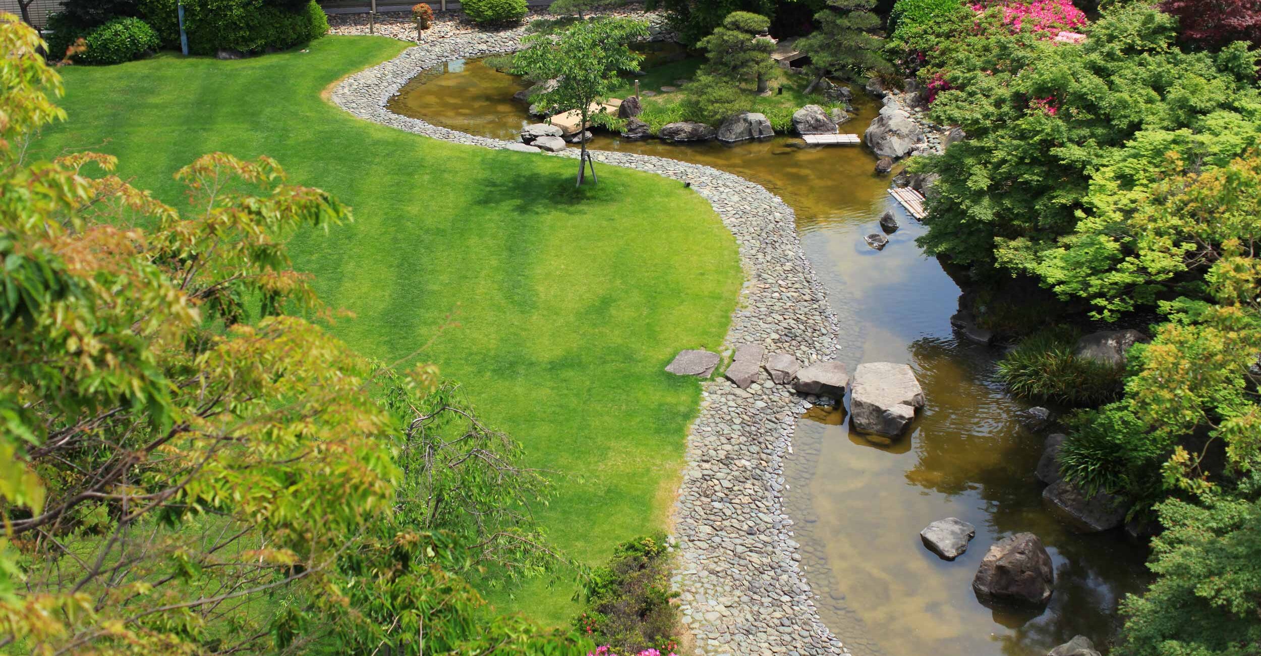 メインバーから眺める日本庭園