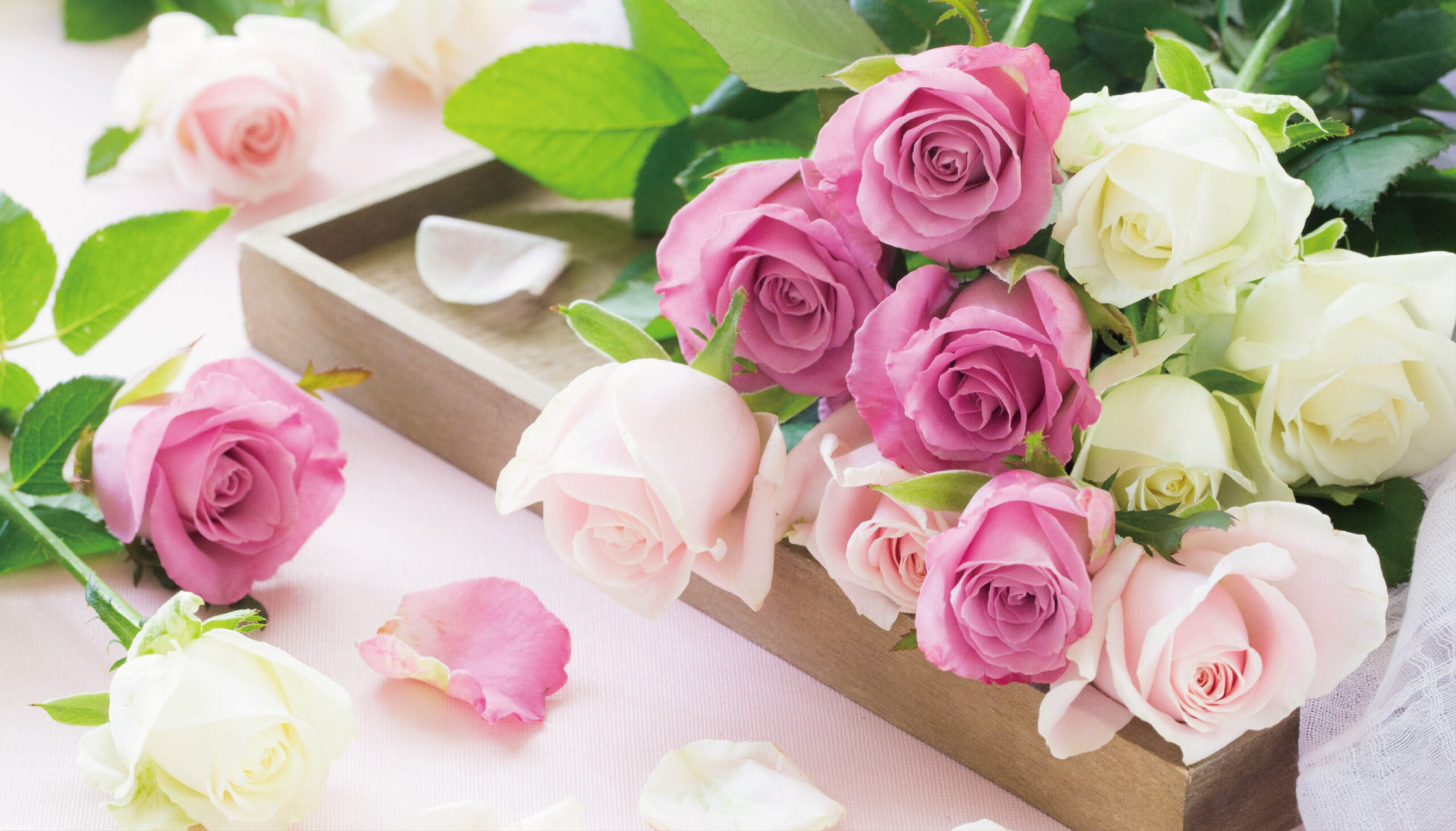 贈答用花束2個 プレゼント!