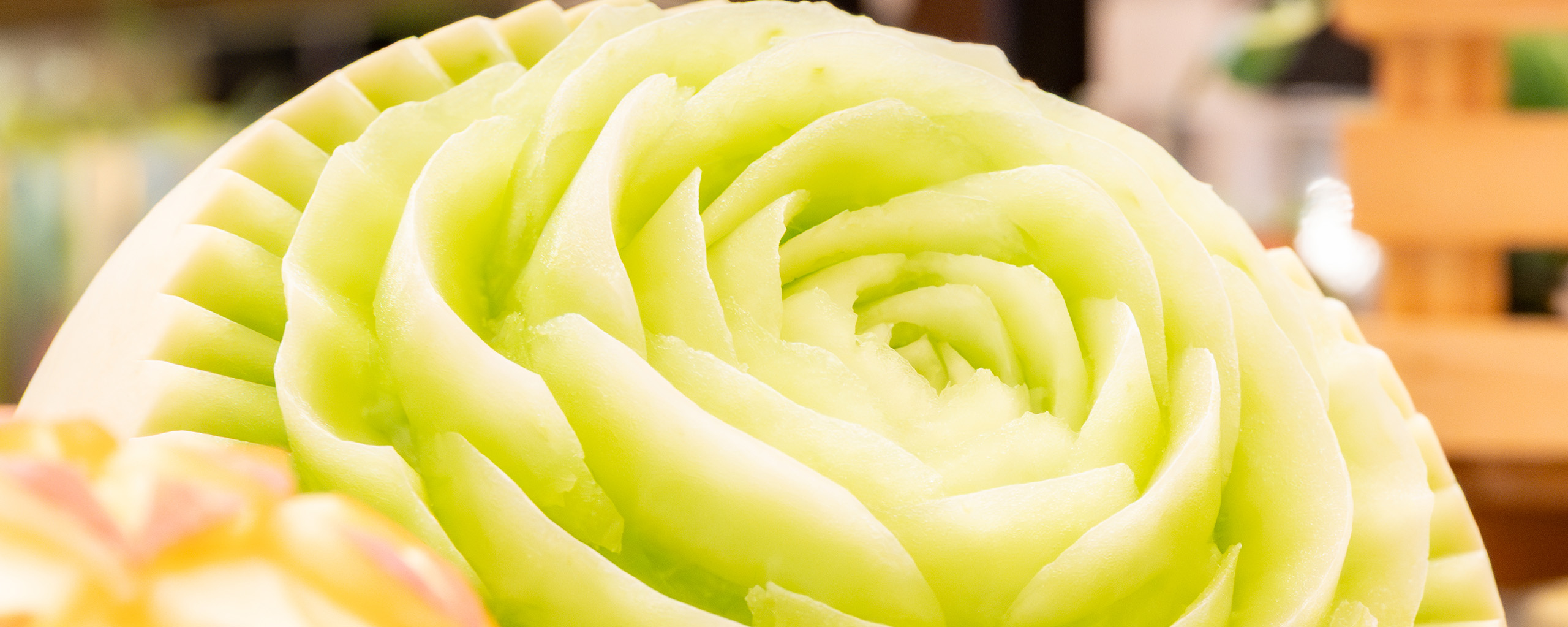 【第4回】テーマ 『春』