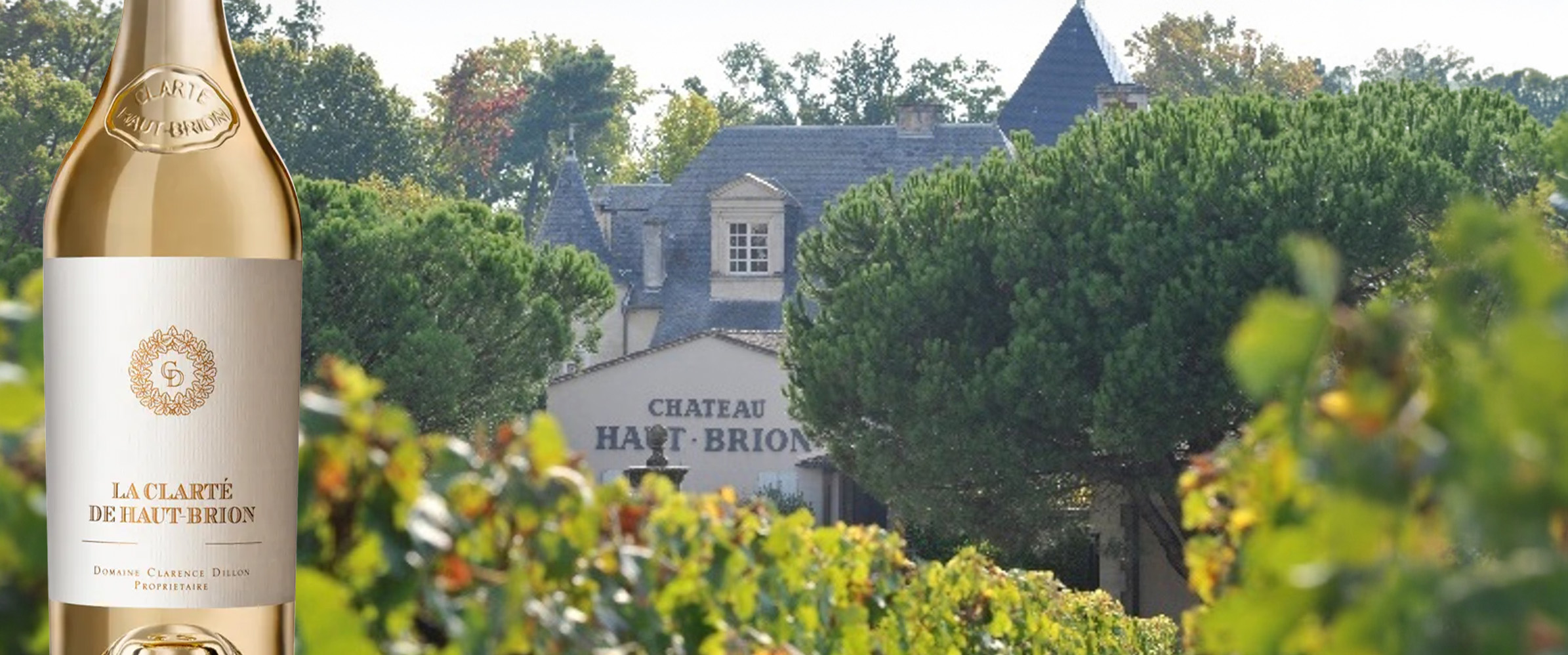 ラ・クラルテ・ド・オー・ブリオン・ブラン 2022