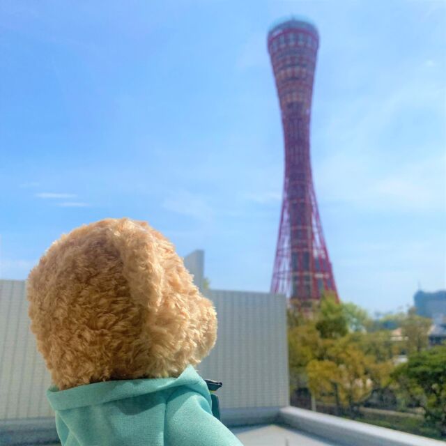 普段あまり公開されないバックスペースからの景色をちょこっとお届け。裏方として働くスタッフの事務所には大きな窓があり、すぐ近くにある神戸ポートタワーを眺めることができます。特にこの時期は気持ちの良い空が広がり、ふと見た景色にほっとします。（オルタンくんも休憩中…？）

His name is "Horten", Hotel Okura Kobe's bear mascot. He is looking up at Kobe Port Tower that will reopen on 26th April, 2024.

#ホテルオークラ神戸#ホテル#神戸#三宮#元町#関西ホテル#ホテル関西#神戸ホテル#ホテル神戸#ポートタワー#神戸ポートタワー#兵庫県#神戸市#兵庫#神戸#Kobe#Hyogo#Japan#okurahotels #oneharmony @okura_hotels