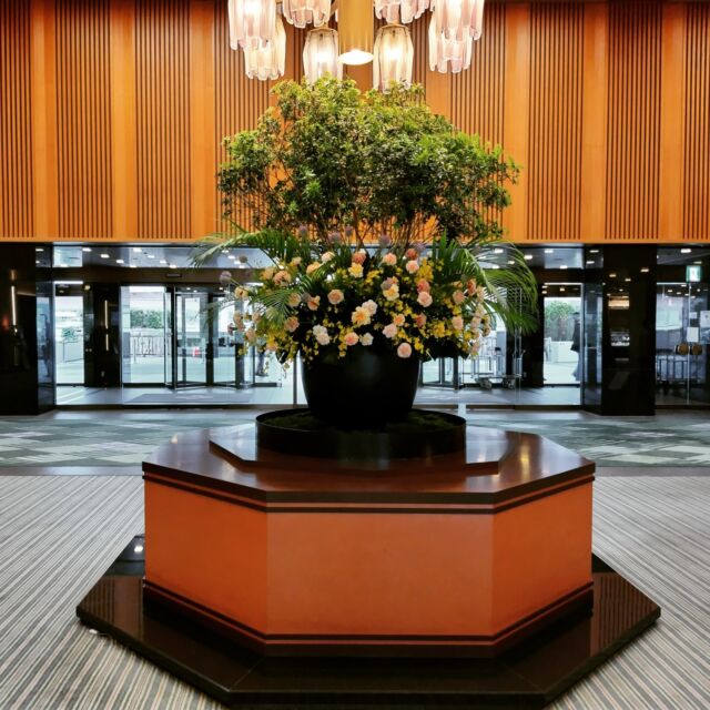 メインロビー装花

母の日に向けて、ピンクやオレンジの #カーネーション をメインにした可憐なアレンジで皆様をお迎えいたします。

Flowers in the hotel lobby

#ホテルオークラ神戸#ホテル#神戸#三宮#元町#関西ホテル#ホテル関西#神戸ホテル#ホテル神戸
#カーネーション#ホテルロビー#hotellobby#lobbyflowers#花が好き#花が好きな人と繋がりたい
#Kobe#Hyogo#Japan#okurahotels#oneharmony @okura_hotels