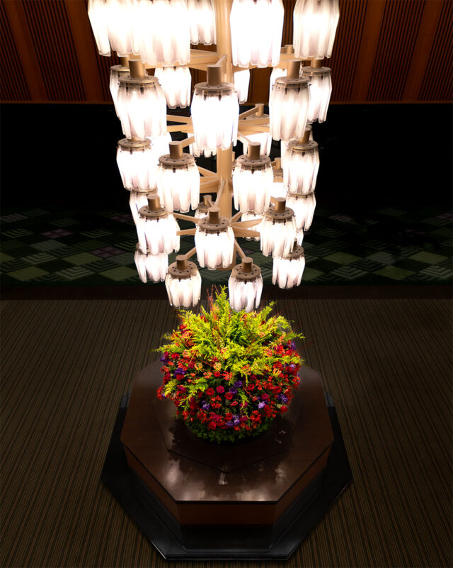 .
11月のメインロビーのお花は、
華やかな季節の到来を予感させる優美な色調です。
心ゆくまでご堪能ください。

Flowers welcoming you, heralding the arrival of the Holiday season.

#ホテルオークラ神戸#hotelokurakobe#ホテル関西#関西ホテル#ホテル神戸#神戸ホテル#神戸観光#神戸旅行#ホカンス#ラグジュアリーホテル#花#フラワー#flower#ロビー#リゾート#11月#November#秋#Autumn#relax#okurahotels#oneharmony @okura_hotels