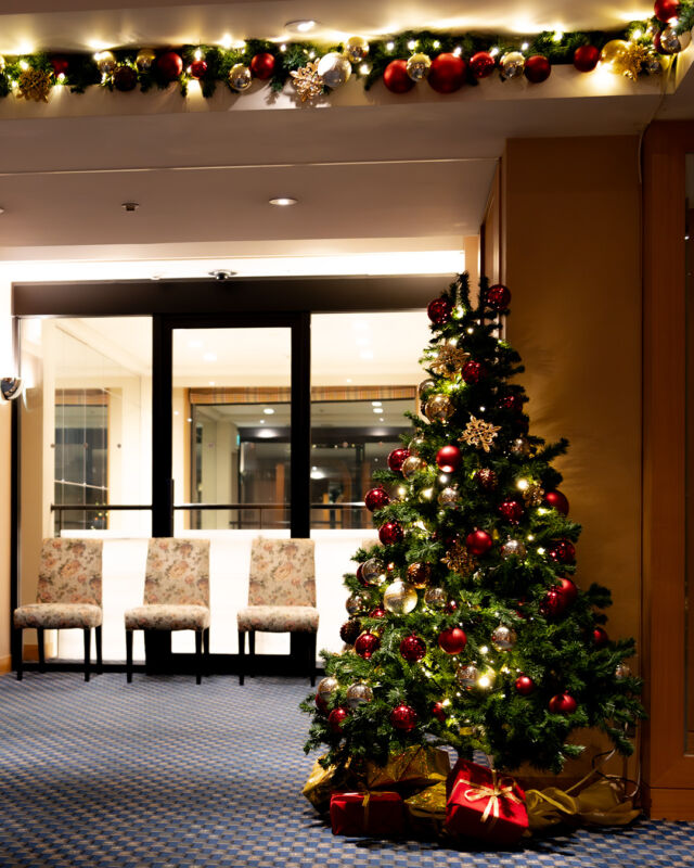 .
35階 鉄板焼「さざんか」のクリスマス装飾です。
エレベーターを降りると上品なツリーとガーランドが
みなさまをお出迎えいたします。

店内にも装飾をあしらい、クリスマスを盛り上げます。
煌びやか雰囲気の中、特別なひとときを。

#ホテルオークラ神戸#hotelokurakobe#ホテル関西#関西ホテル#ホテル神戸#神戸ホテル#神戸観光#神戸旅行#ホカンス#ラグジュアリーホテル#クリスマスツリー#クリスマス#鉄板焼#さざんか#鉄板焼さざんか#神戸肉流通推進協議会#神戸ビーフ#KobeBeef#Beef#Christmas#ChristmasTree#relax#okurahotels#oneharmony @okura_hotels