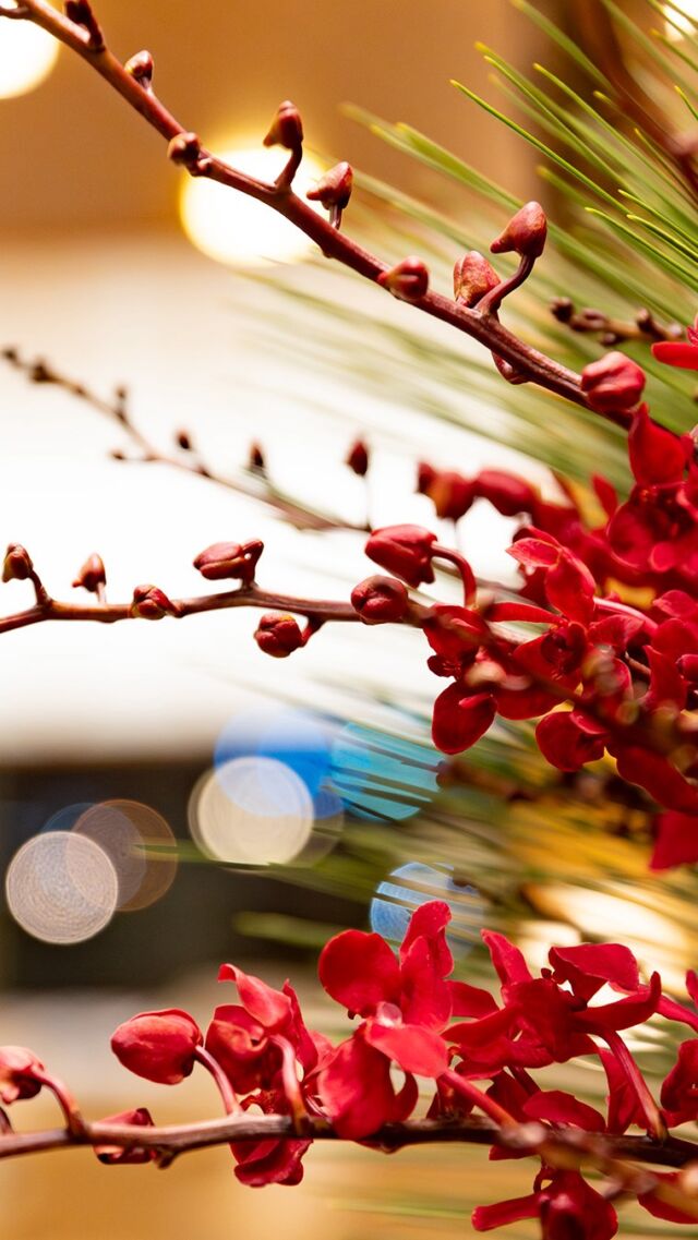 .
2025年も残すところ数時間となりました。
ホテルオークラ神戸では新年を迎える準備を
進めております。

本年もたくさんのお客様にお越しいただきました。
誠にありがとうございました。
2026年がみなさまにとって幸多き年となりますように。
よいお年をお迎えください。

#ホテルオークラ神戸#hotelokurakobe#ホテル関西#関西ホテル#ホテル神戸神戸ホテル神戸観光神戸旅行ホカンスラグジュアリーホテル2025年2026年お正月飾り正月飾り新年年末okurahotelsoneharmony @okura_hotels