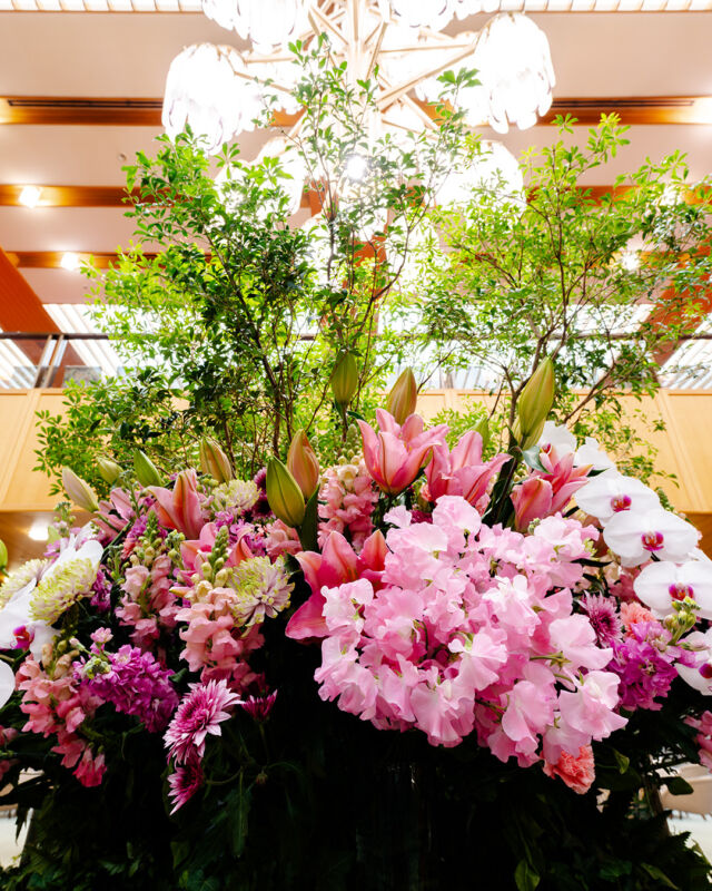 ,
一年で最も寒さを感じる季節ですが、メインロビーでは、
一足早く春の息吹をお届けします。
受験シーズンを迎えるみなさまにも、
輝かしい春が訪れますように。

百合の香りに包まれる、心安らぐひとときを
お過ごしください。

Though it's the coldest season of the year,in the main lobby,you can feel spring arriving a little early.

#ホテルオークラ神戸#hotelokurakobe#ホテル関西#関西ホテル#ホテル神戸#神戸ホテル#神戸観光#神戸旅行#ホカンス#ラグジュアリーホテル#お花#装花#春#百合#百合の香り#ユリ#受験生#okurahotels#oneharmony @okura_hotels