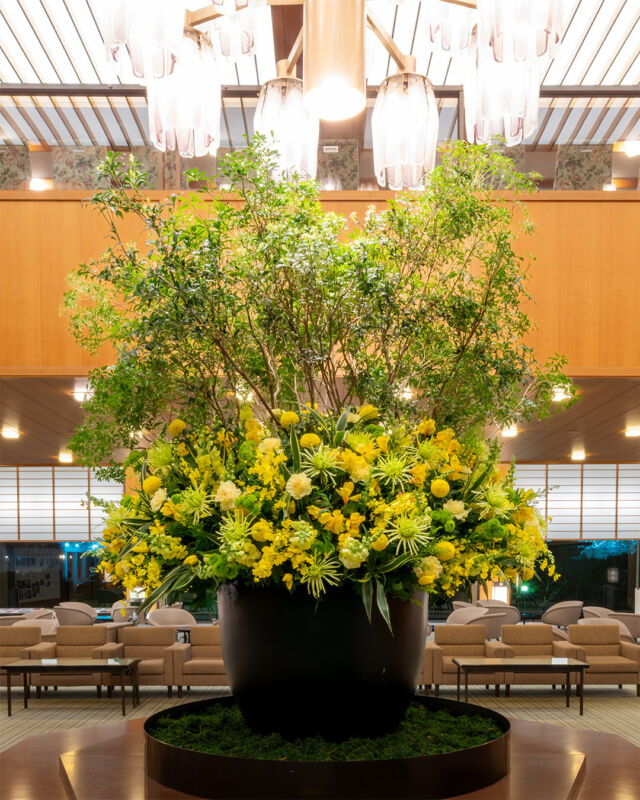 .
今月のロビーのお花は、やわらかな新緑の絨毯に、
ポッと灯った黄色い花あかりをイメージしました。
ふわりした春の香りでお迎えいたします。

This month’s lobby arrangement evokes
yellow blooms glowing softly upon a carpet of tender spring green.
A light, airy scent of spring awaits you.

#ホテルオークラ神戸#hotelokurakobe#ホテル関西#関西ホテル#ホテル神戸#神戸ホテル#神戸観光#神戸旅行#ホカンス#ラグジュアリーホテル#お花#装花#春#okurahotels#oneharmony @okura_hotels