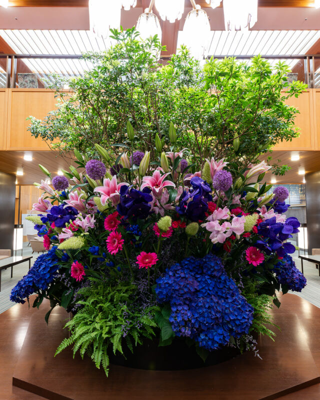 .
今月のメインロビーを彩るお花は､紫陽花が主役です。

梅雨をむかえるこれからの季節、
ロビーに足を踏み入れた瞬間に
鮮やかな花々がみなさまの心を明るく彩りますように。

【装花の構成】
・アジサイ
・ギガンジウム
・バンダ
・カーネーション
・アセビ
・オリエンタルユリ
・ガーベラ
・リンドウ
・ボストンファン
・スターチス
・アルストロメリア
・アワ

The flowers adorning our main lobby this month
feature Kobe’s city flower, the hydrangea, as the star attraction.
As we enter the rainy season,
we hope that the vibrant colors will brighten your spirits the moment you step into the lobby.

#ホテルオークラ神戸 #ホテルオークラ #hotelokurakobe #神戸ホテル #ロビーフラワー #ロビー装花 #フラワーディスプレイ #紫陽花 #あじさい #神戸の花 #初夏の訪れ #ホテルステイ #神戸旅行 #神戸観光 #hydrangea